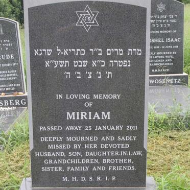 MINSTER Miriam -2011