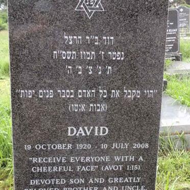 SHAPIRO David 1920-2008