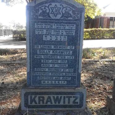 KRAWITZ Solly -1917