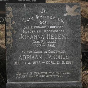 D - Vanne :: Surnames - D