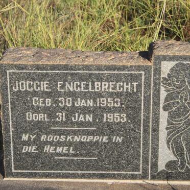 ENGELBRECHT Joggie 1953-1953