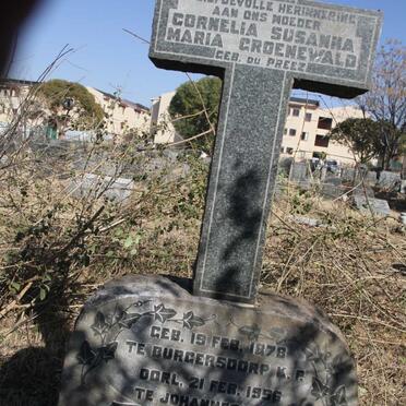 GROENEWALD Cornelia Susanna Maria nee DU PREEZ 1878-1956