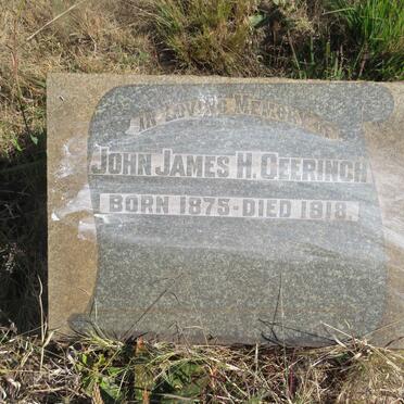 GEERINGH John James 1875-1918