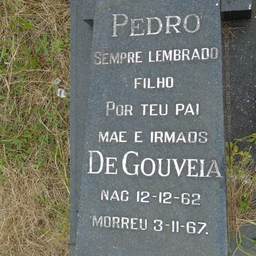 GOUVEIA Pedro, de 1962-1967