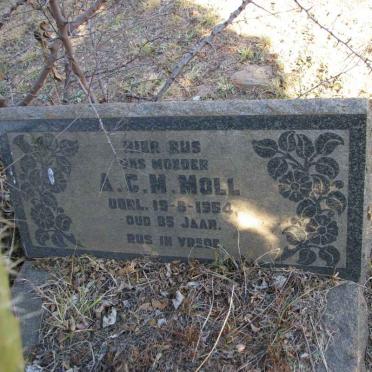 MOLL A.C.M. -1954