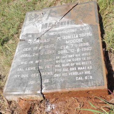 MOODIE Thomas 1873-1947 & Petronella Sophia 1886-1963_1