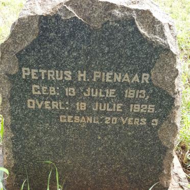 PIENAAR Petrus H. 1913-1925