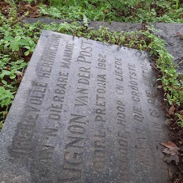 POST Mignon, van der -1962