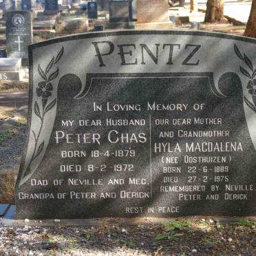 PENTZ Peter Chas 1879-1972 &amp; Hyla Magdalena OOSTHUIZEN 1889-1975