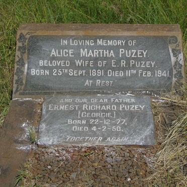 Pu - Surnames starting with the letters Pu