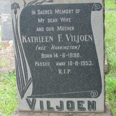 VILJOEN Kathleen F. nee HARRINGTON 1898-1953