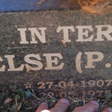 STRYDOM P.C.O. 1907-1975