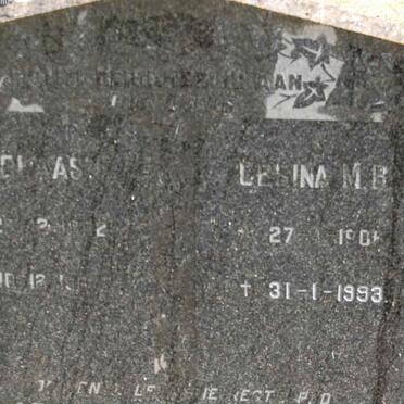 STEENKAMP ?lesina M.B. 1906-1993