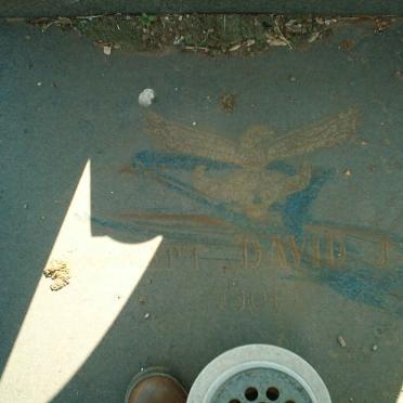 ? Davis J.