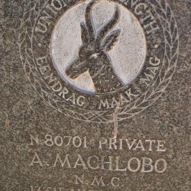 MACHLOBO A. -1944