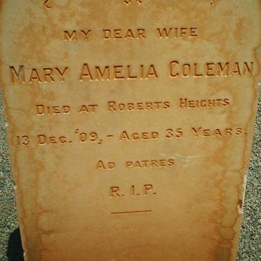 COLEMAN Mary Amelia -1909