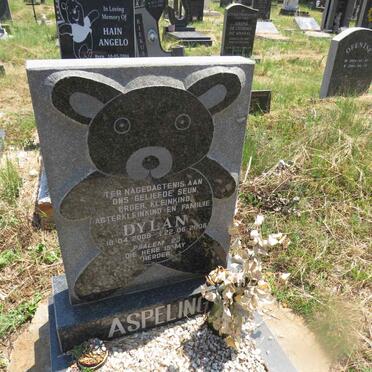 ASPELING Dylan 2008-2008