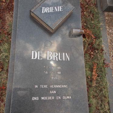 BRUIN Drienie, de 1921-1981
