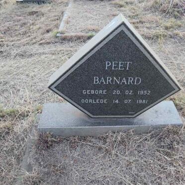 BARNARD Peet 1952-1981