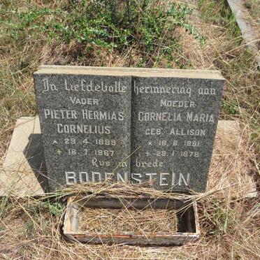 BODENSTEIN Pieter Hermias Cornelius 1889-1967 & Cornelia Maria ALLISON 1891-1976