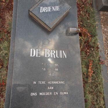 BRUIN Drienie, de 1921-1981