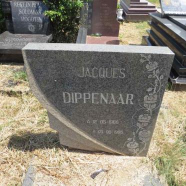 DIPPENAAR Jacques 1966-1996