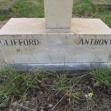 DOLD Clifford Quinten Anthony 1907-1965