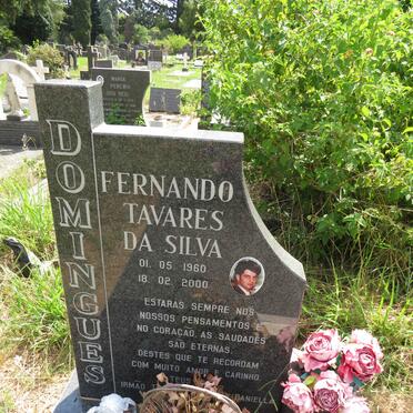DOMINGUES Fernando Tavares Da Silva 1960-2000