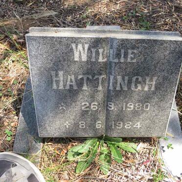 HATTINGH Willie 1980-1984