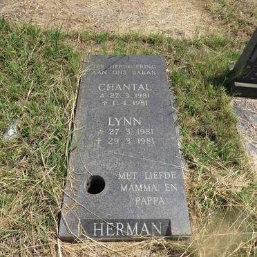HERMAN Chantal 1981-1981 :: HERMAN Lynn 1981-1981