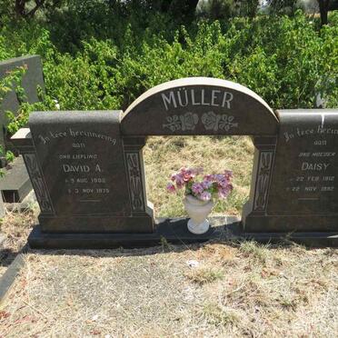 MULLER David A. 1902-1975 & Daisy 1912-1992