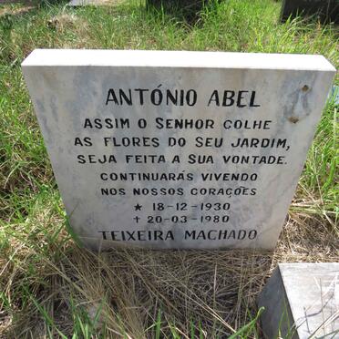 MACHADO Antonio Abel, TEIXEIRA  1930-1980