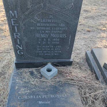 MEIRING Henry Morris 1956-1980 & Cornelia Petronella 1958-2008