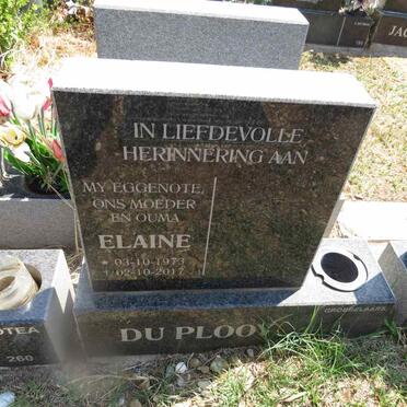 PLOOY Elaine, du 1973-2017