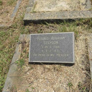 STRYDOM Flooris Abraham 1884-1971