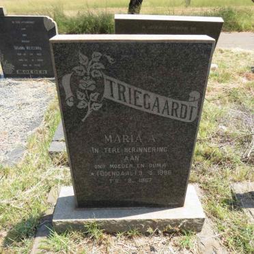TRIEGAARDT Maria A. nee ODENDAAL 1896-1967