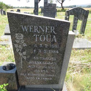 TOUA Werner 1981-1984
