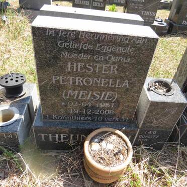 THEUN???? Hester Petronella 1951-2008