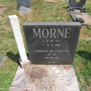 WALT Morne, van der 1977-1996