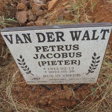 WALT Petrus Jacobus, van der 1943-2023