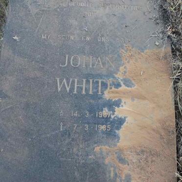 WHITE Johan 1967-1985