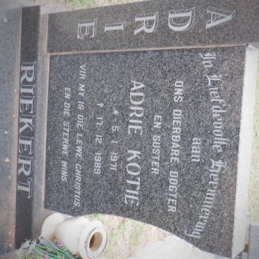 RIEKERT Adrie Kotie 1971-1989