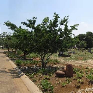1. Overview