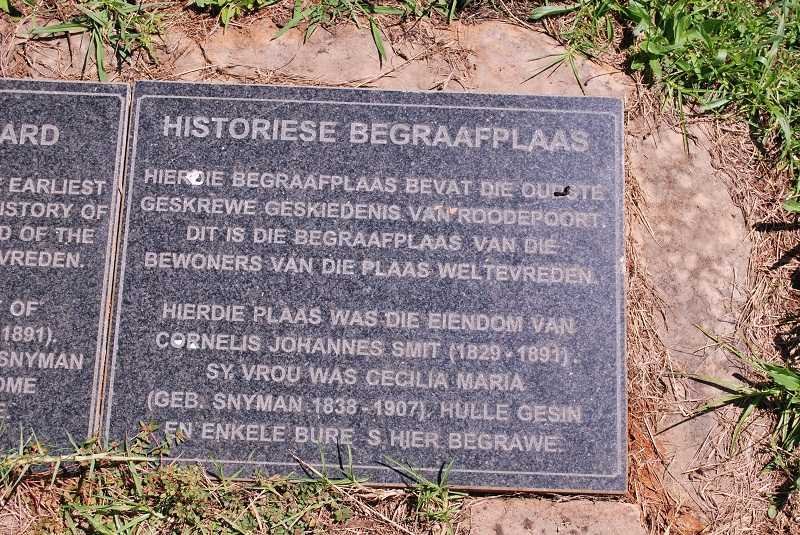 2. Plaque