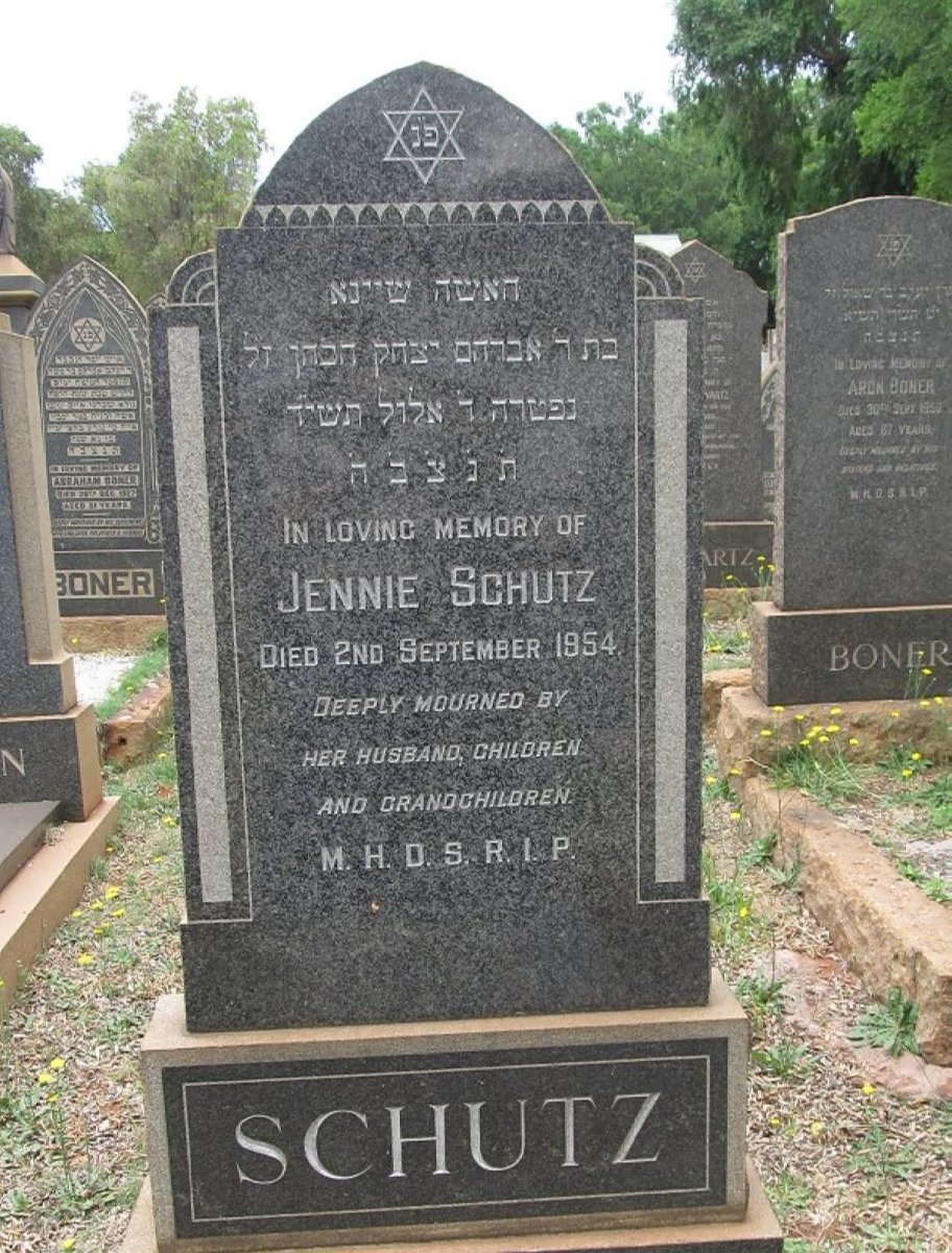 SCHUTZ Jennie -1954