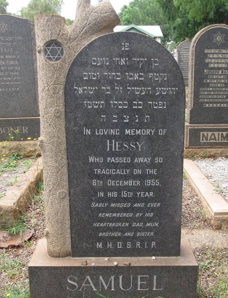 SAMUEL Hessy -1955