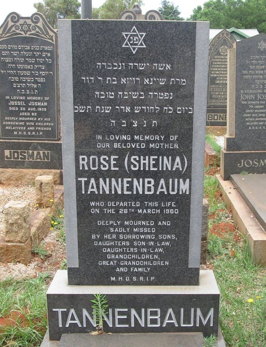 TANNENBAUM Rose -1960