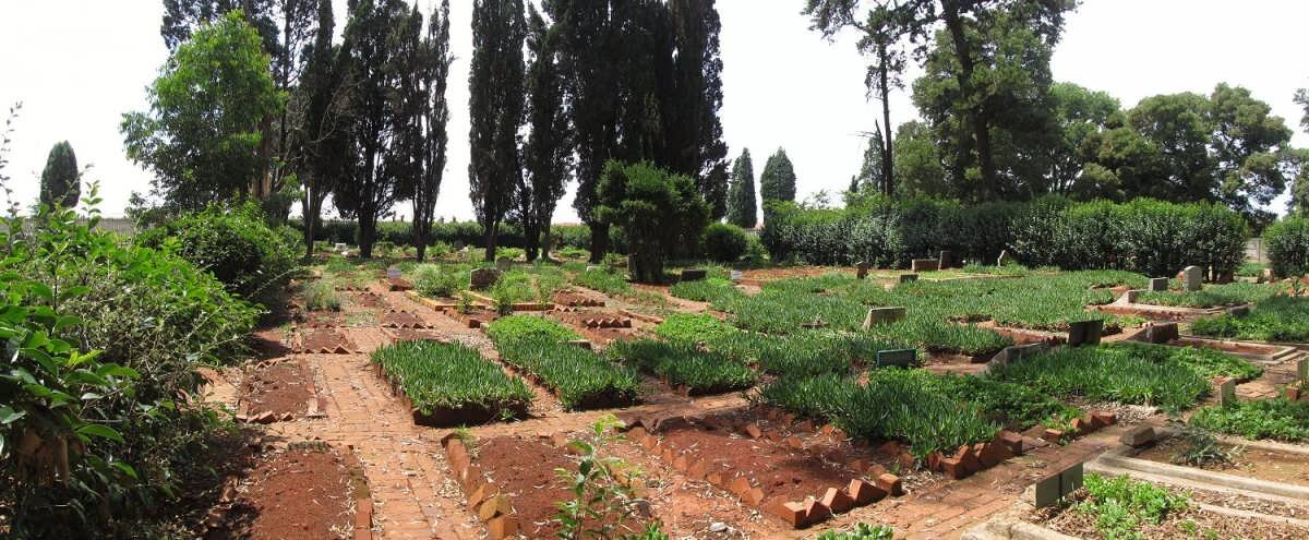 2. Overview