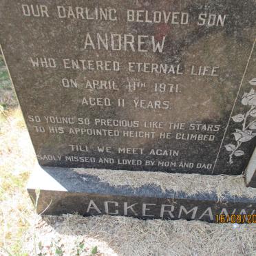 ACKERMANN Andrew  -1971