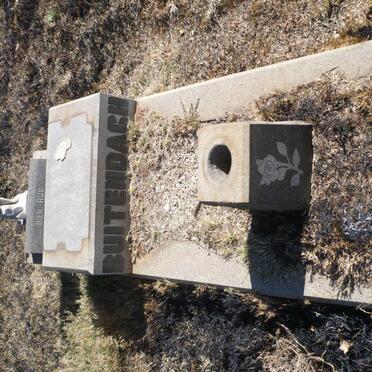 BUITENDACH Gerhardus 1946-1946